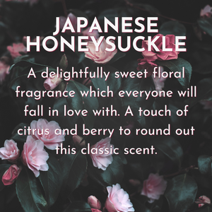 Japanese Honeysuckle